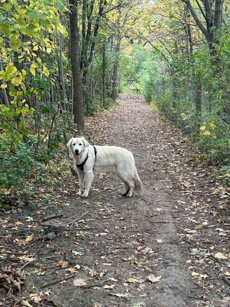Carver Park Reserve, Victoria