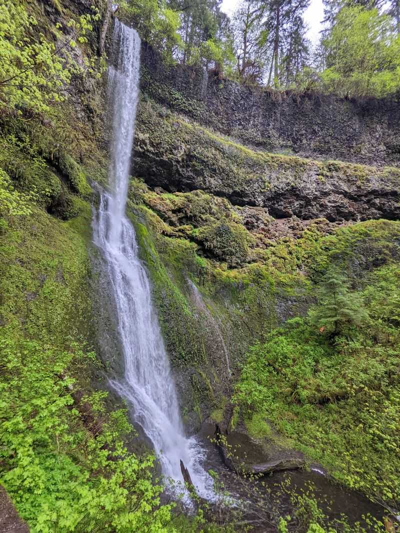 Rackett Ridge Trail, Silver Falls State Park