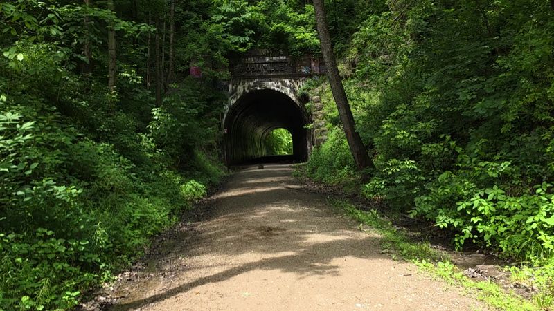 Zaleski State Forest