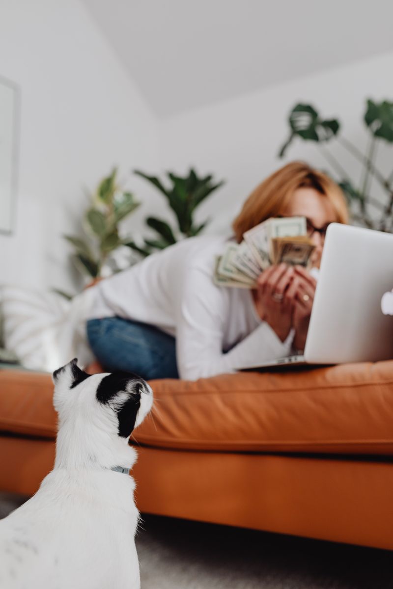 Sort Out Upfront Pet Charges