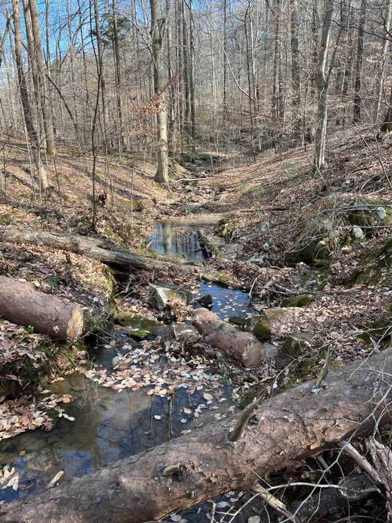 Deep River Trail
