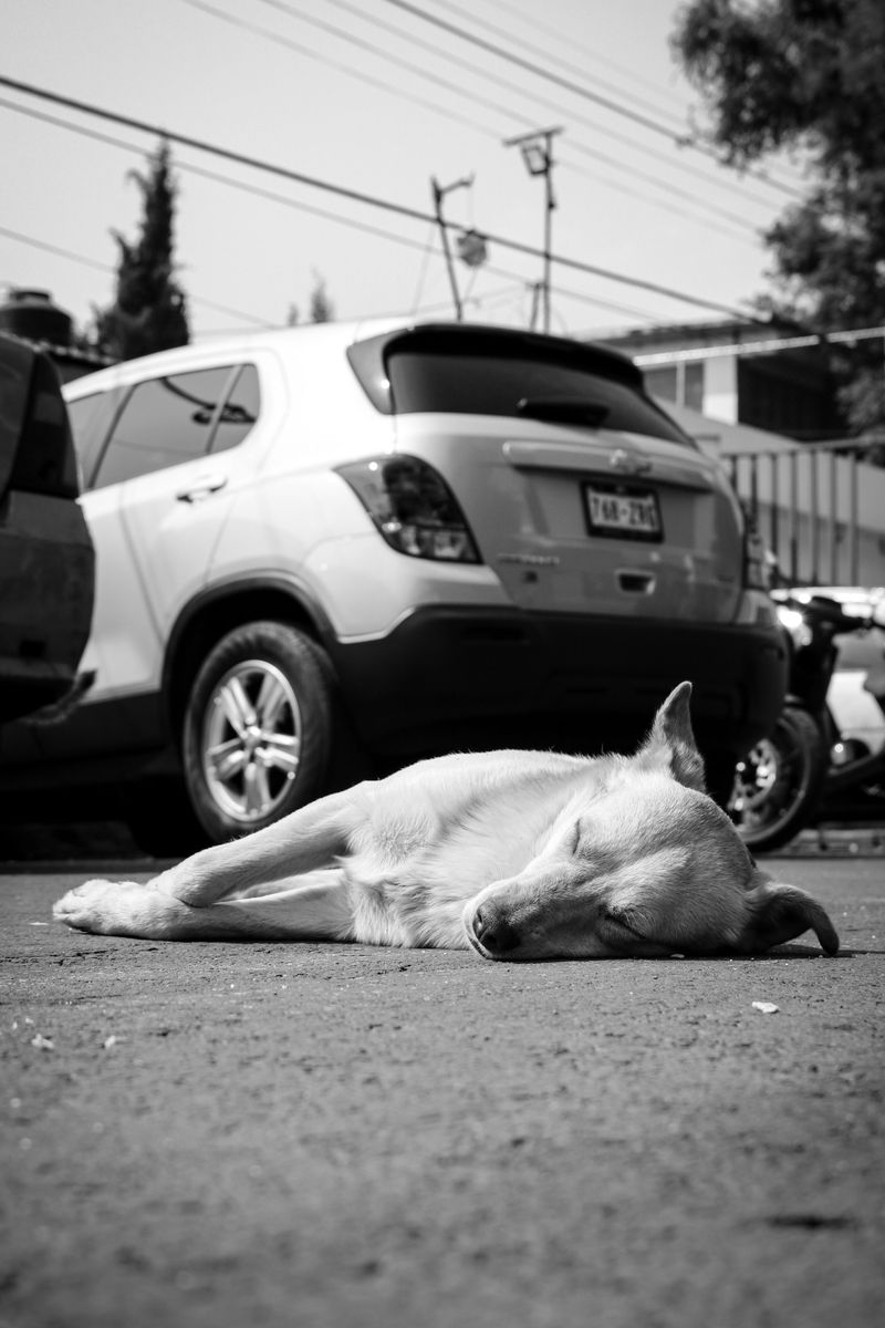Parked Cars Are Off Limits
