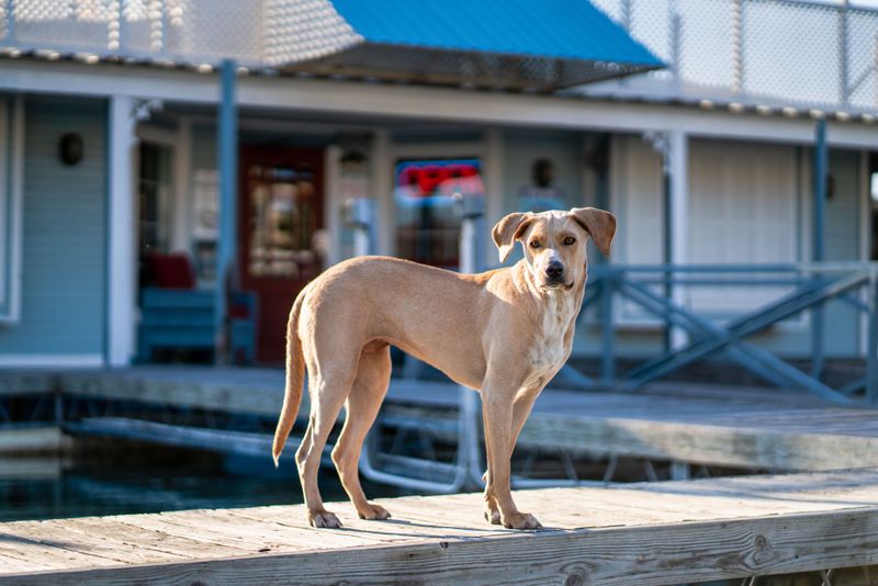 Dock Time Needs a Watchful Eye