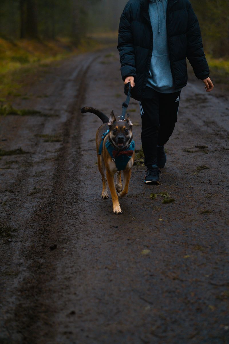 Mud And Slick Trails Can Become Dangerous