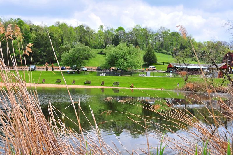 The Great Divide Campground: A Dog Park Between Walks