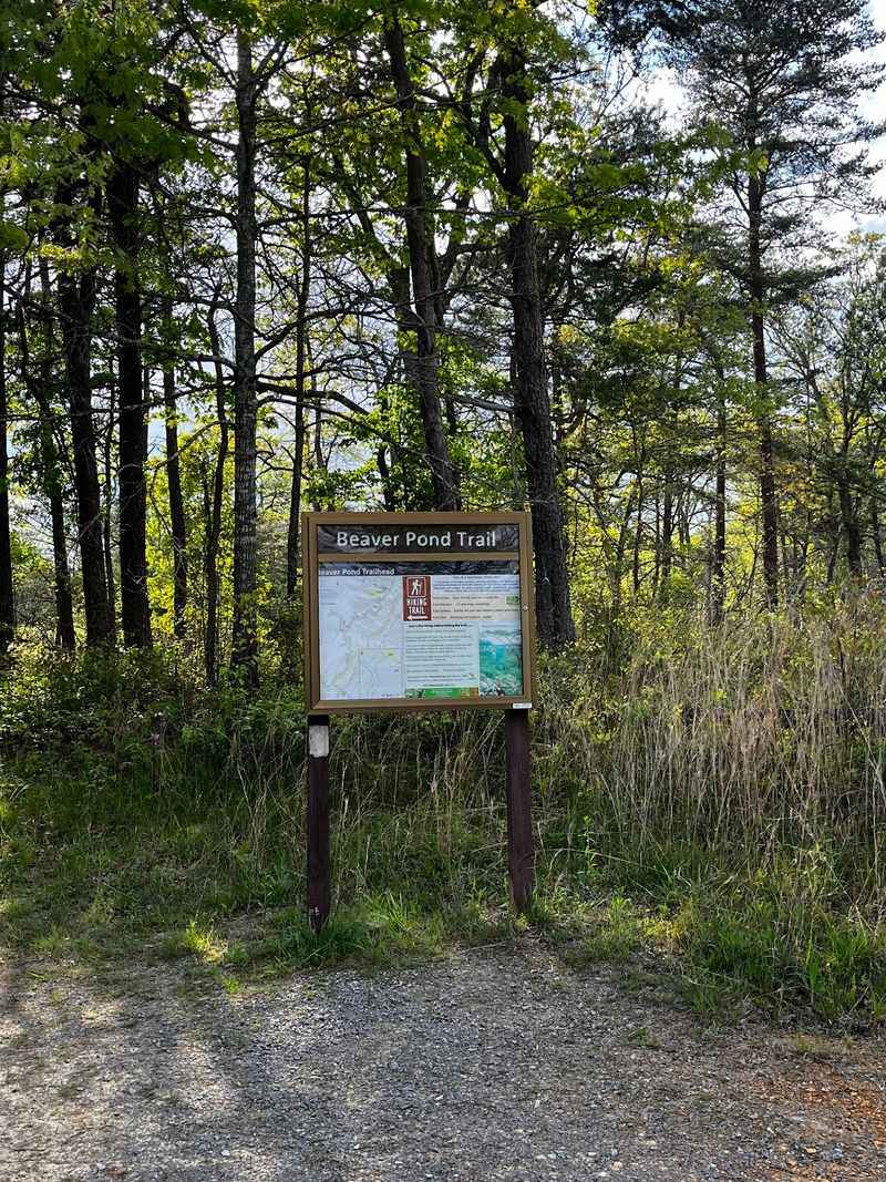 Beaver Pond Trail, Little River Canyon National Preserve
