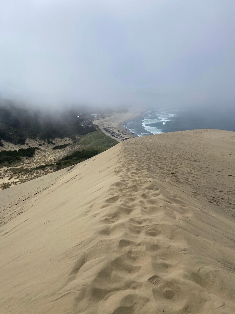 Cape Kiwanda State Natural Area, Pacific City
