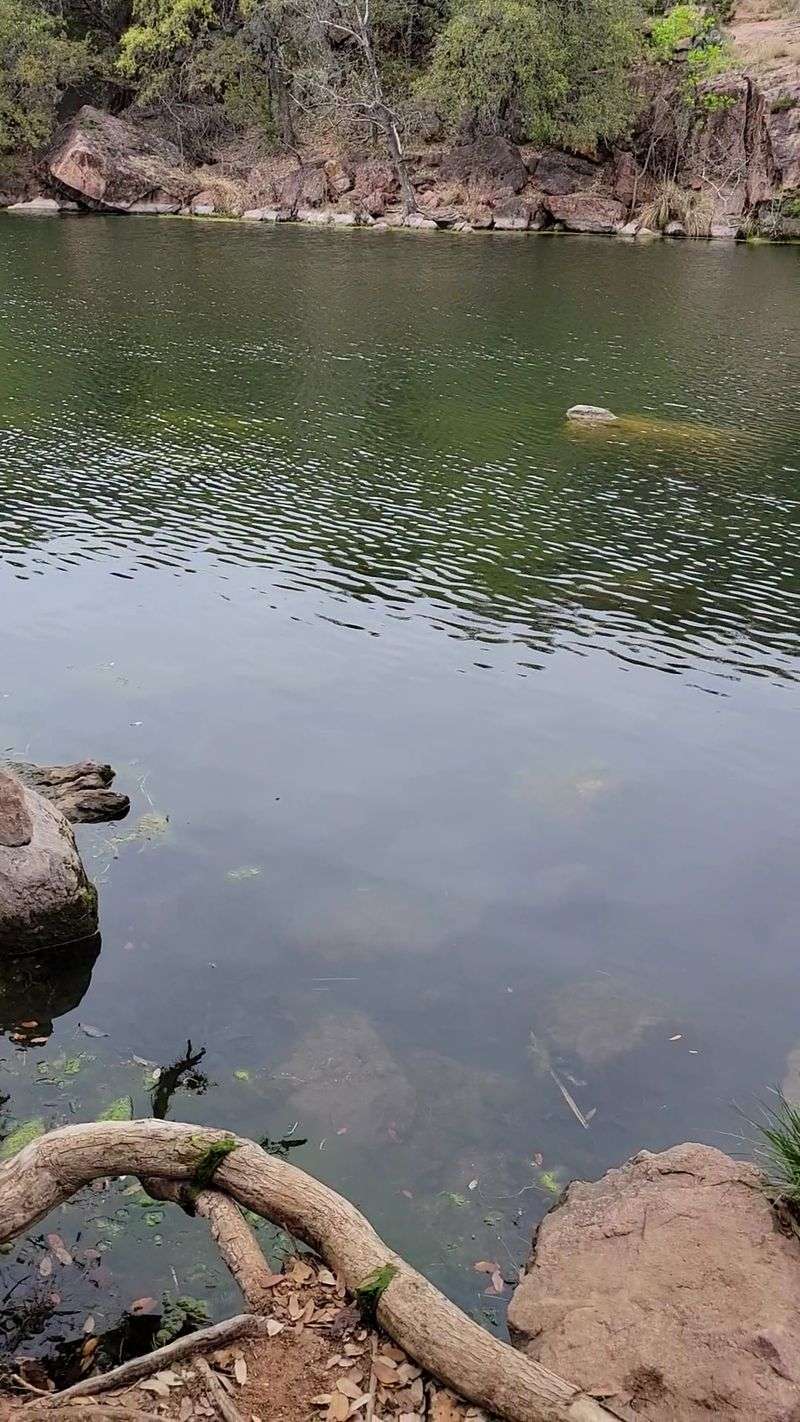 Inks Lake State Park