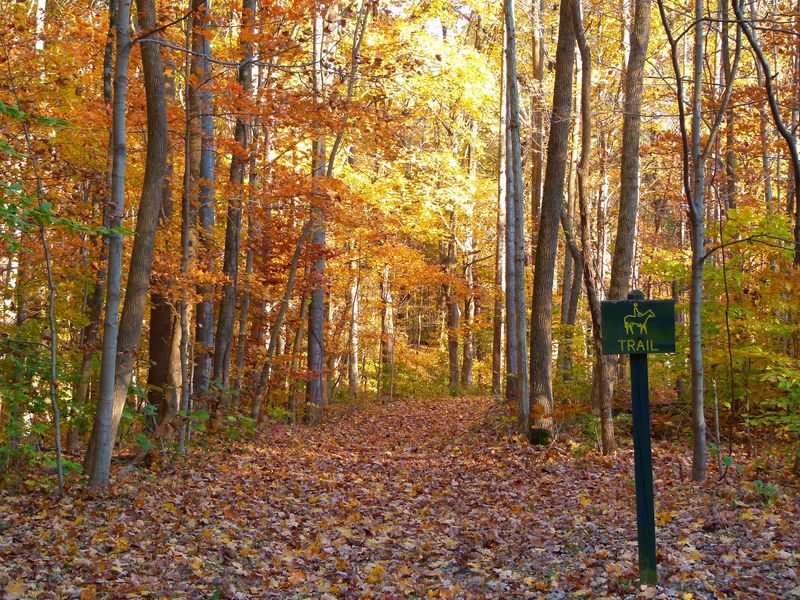 Harmonie State Park, New Harmony