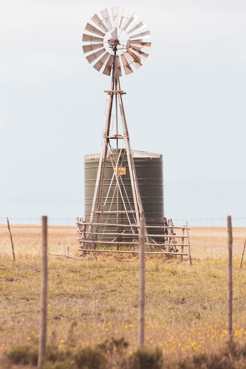 Steer Clear of Stock Water Sources