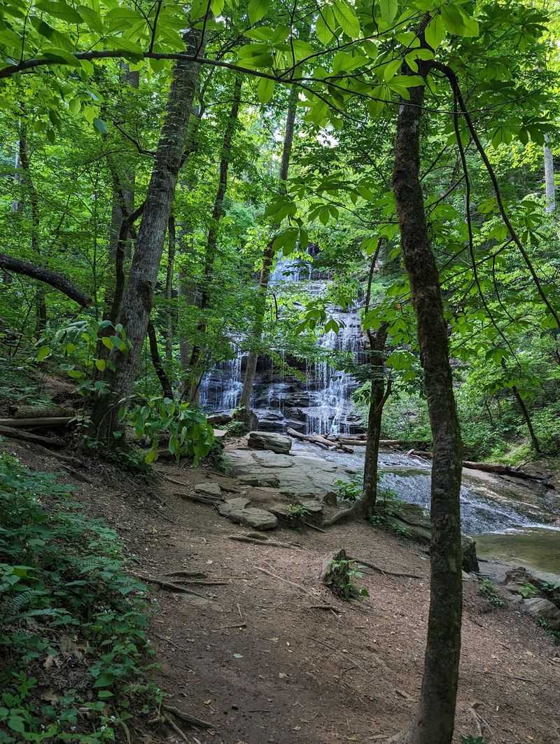 Oconee Station and Station Cove Falls Trail