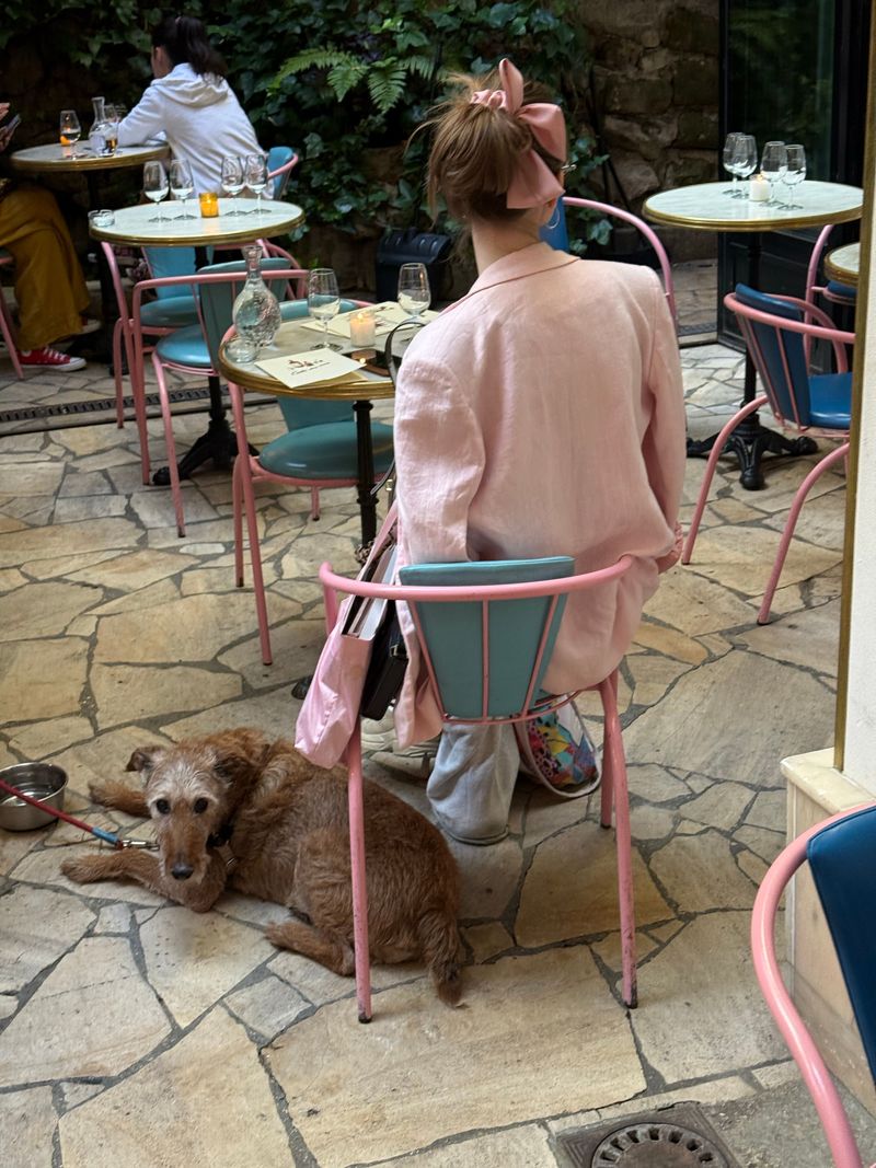 Plan Around Dog-Friendly Outdoor Dining
