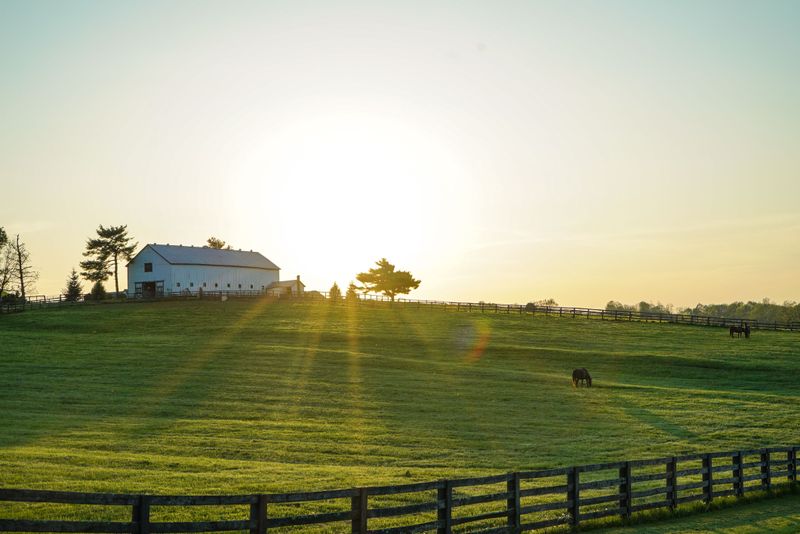 Explore Lexington's Horse Country Carefully