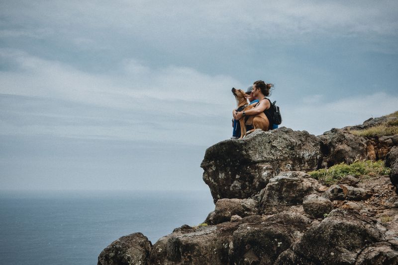 Decide Which Islands Fit Your Dog Best