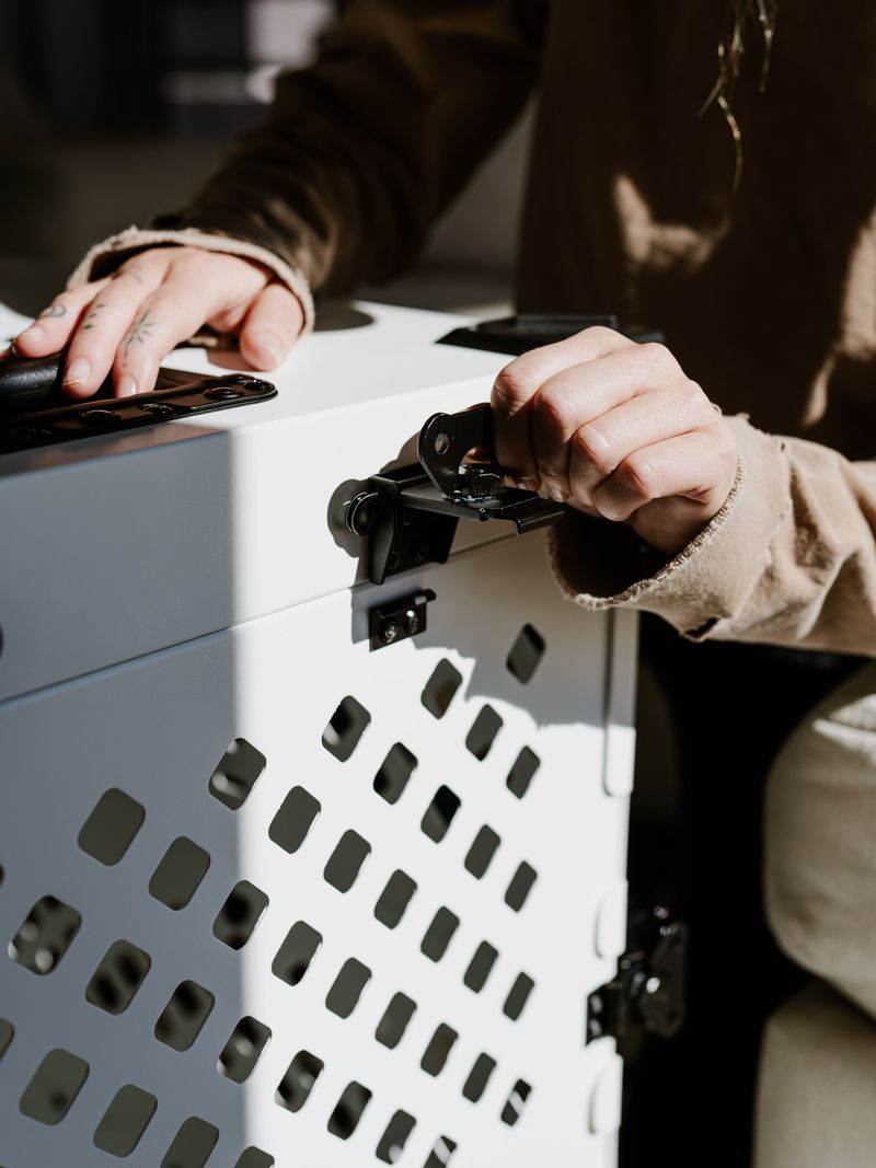 Choose a Secure Carrier for Your Dog
