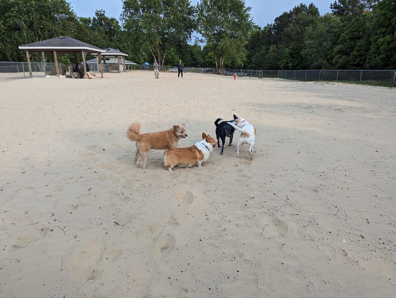 Know The Dog Rules In Kitty Hawk