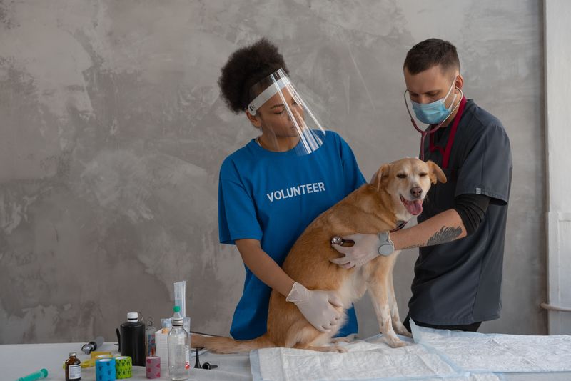 Animal-Control Officials May Enforce Outdoor-Dog Rules