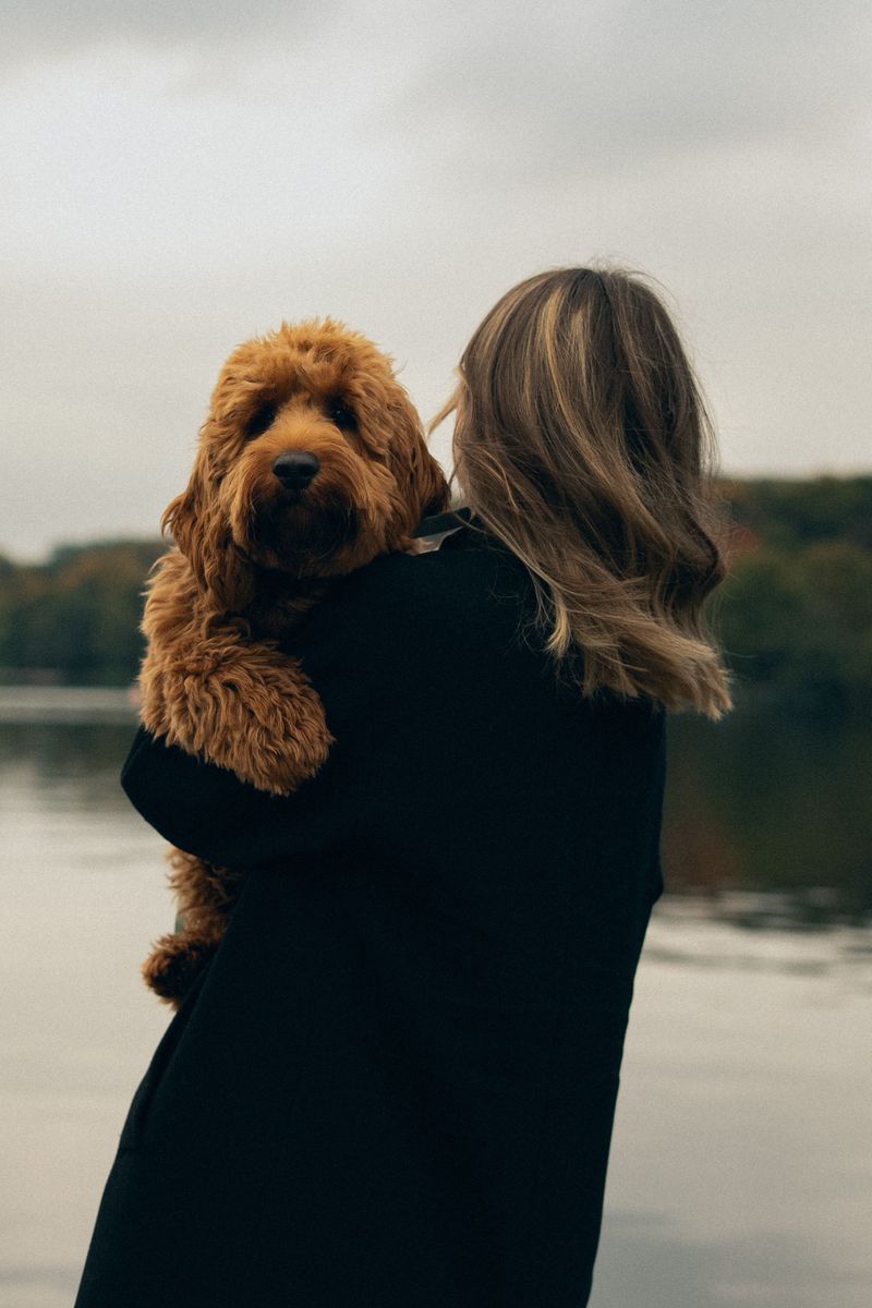 Watch Your Dog After Leaving The Lake