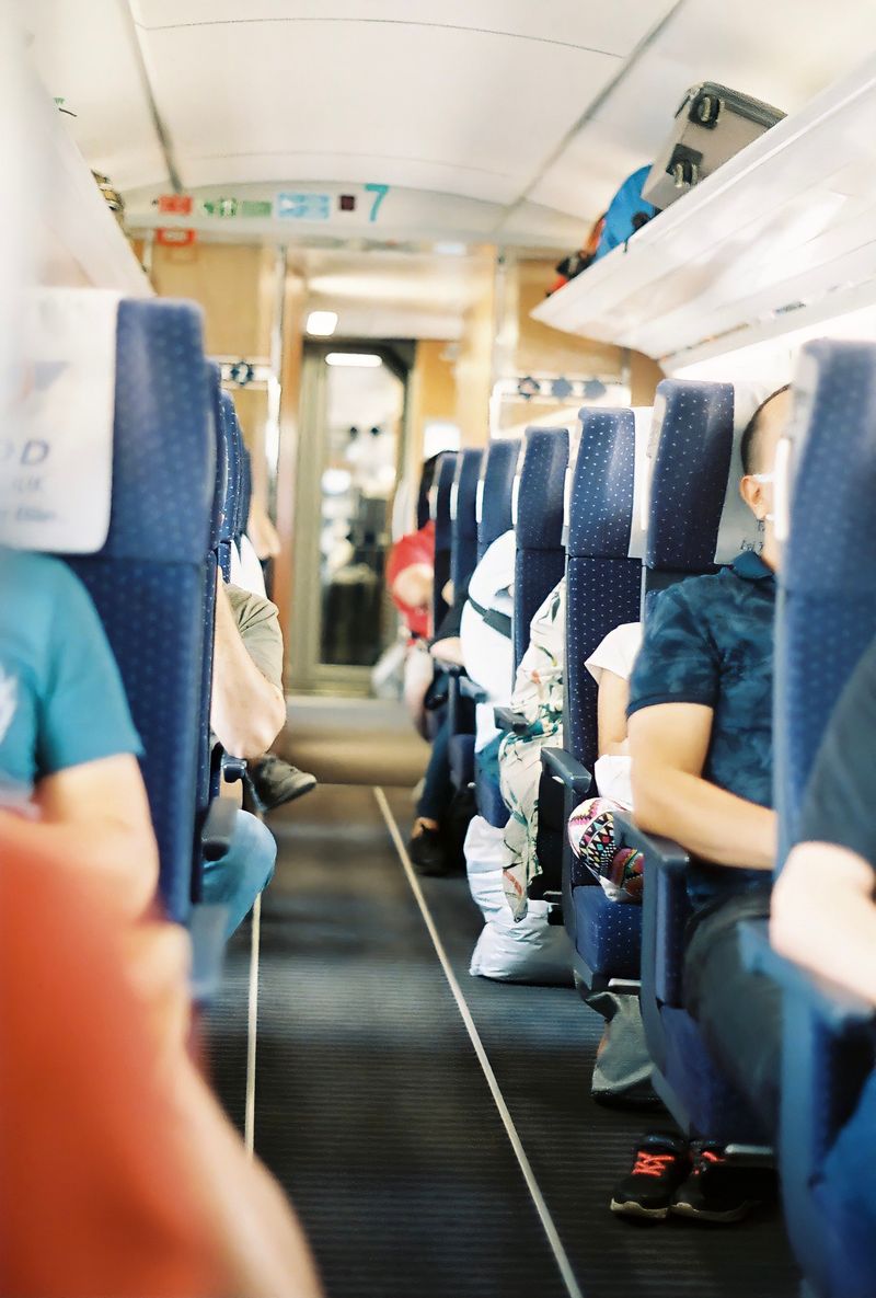 Choose Coach When Booking With a Dog
