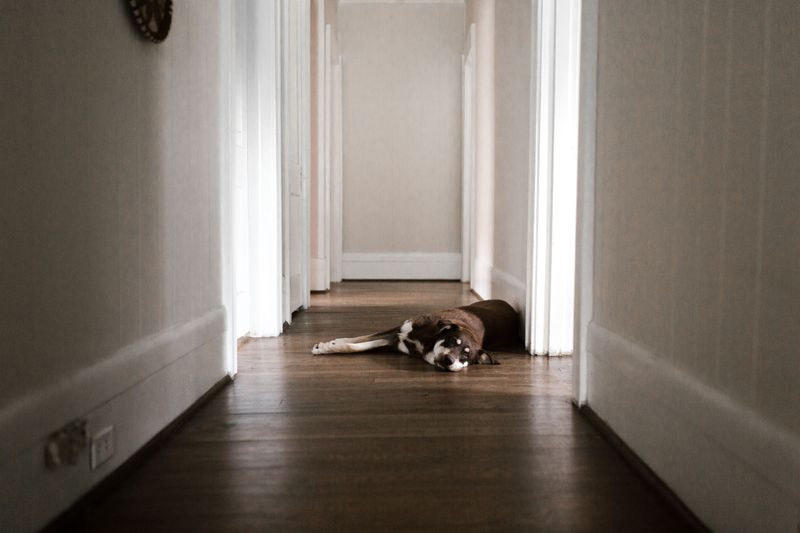 Hallways and Stairwells Can Catch a Mishap