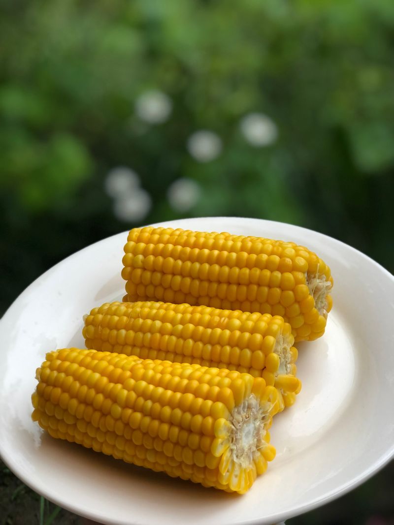 Corn on the cob