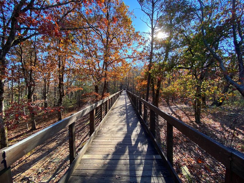 Mountain Laurel Trail, Cheaha State Park
