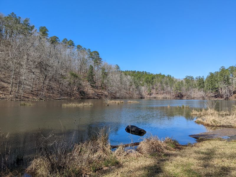 Lake Chinnabee Recreation Area, Talladega National Forest