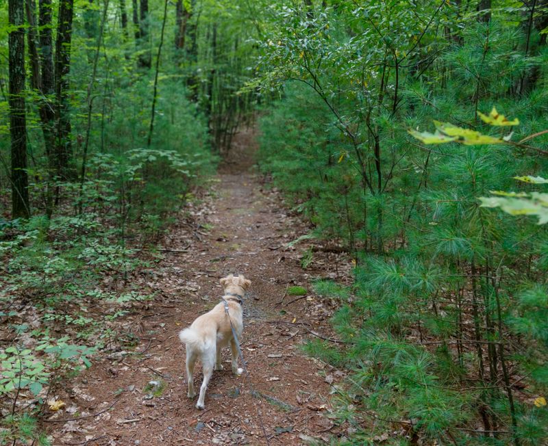 Trails Exist For Good Reasons