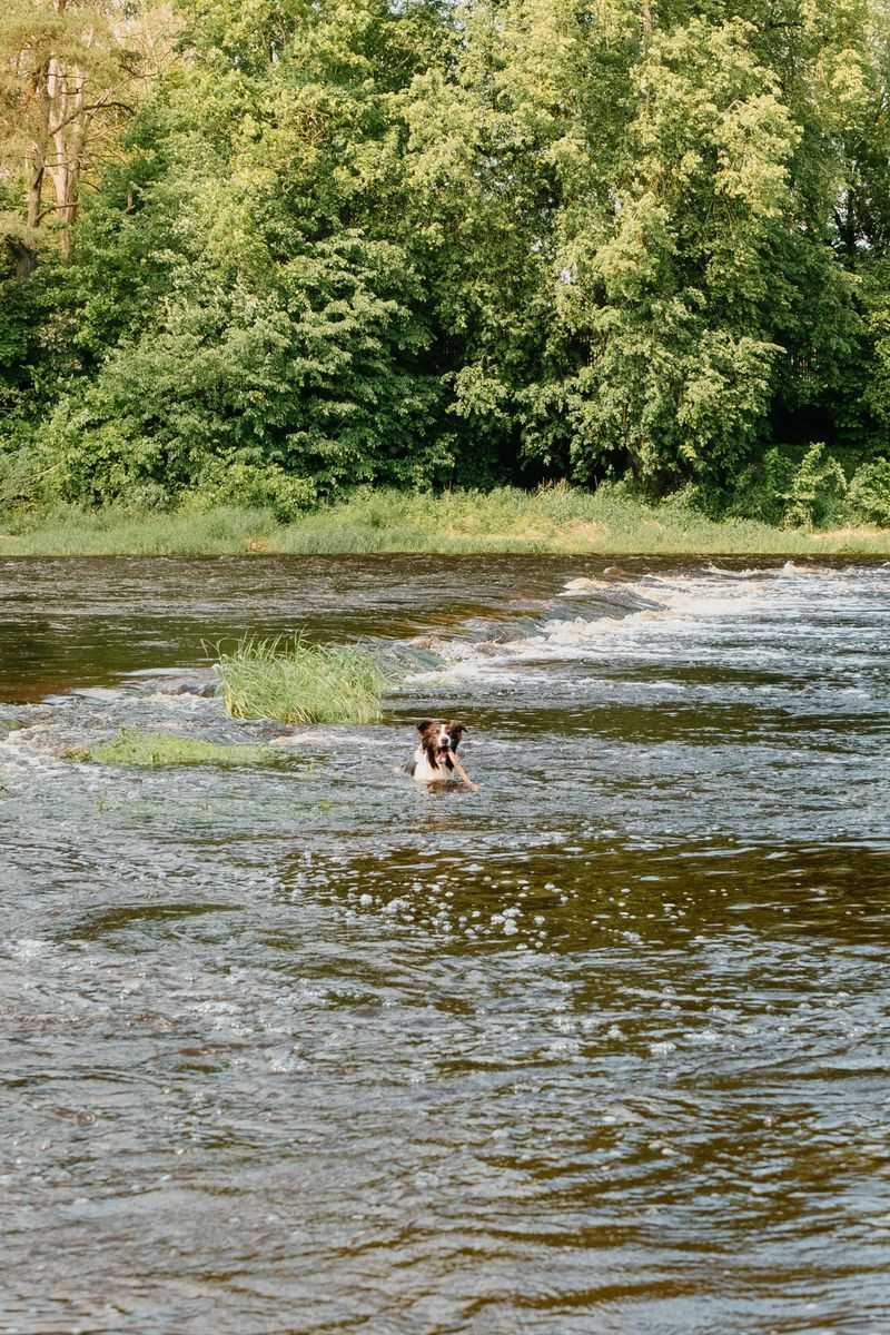 Watch the Water Instead of Assuming It Is Safe
