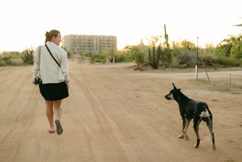 Give Your Dog Regular Walking Breaks