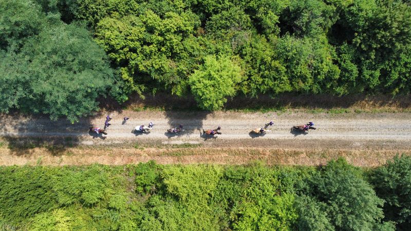 Stay on Public Roads and Marked Trails