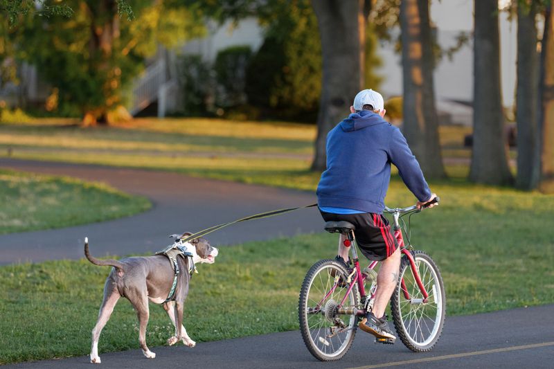 Be Careful Around Bicycles