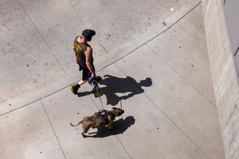 Have a Safer Backup Walking Route