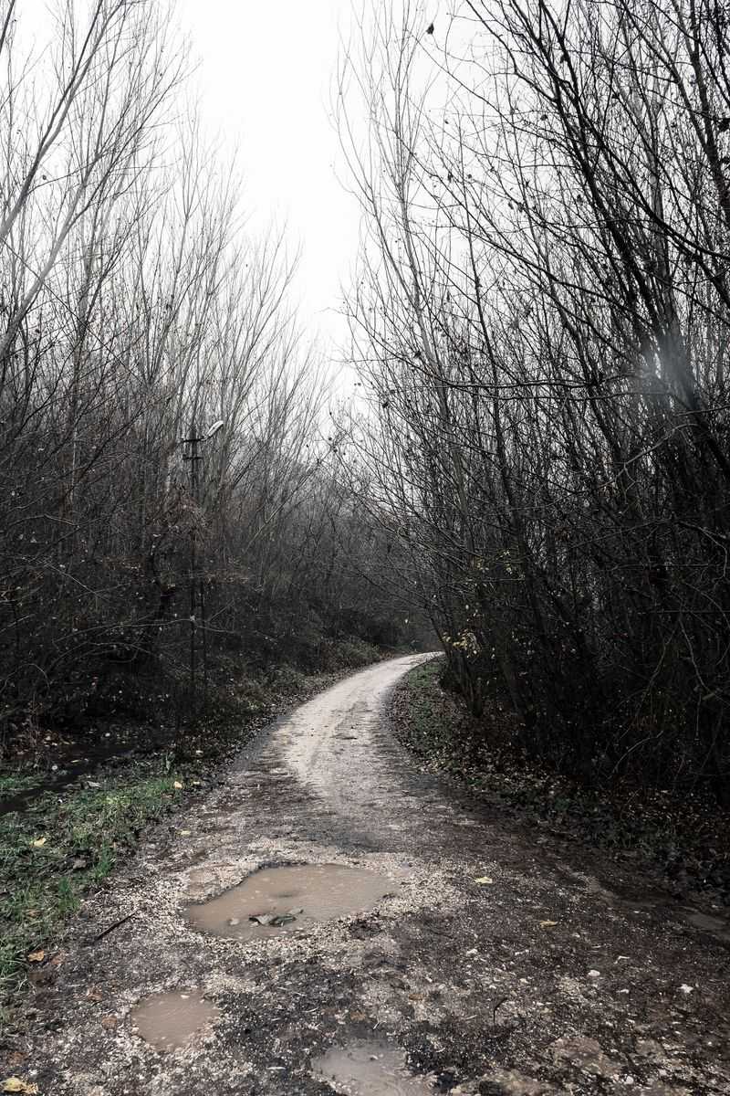 Check Trail Conditions Before Hiking
