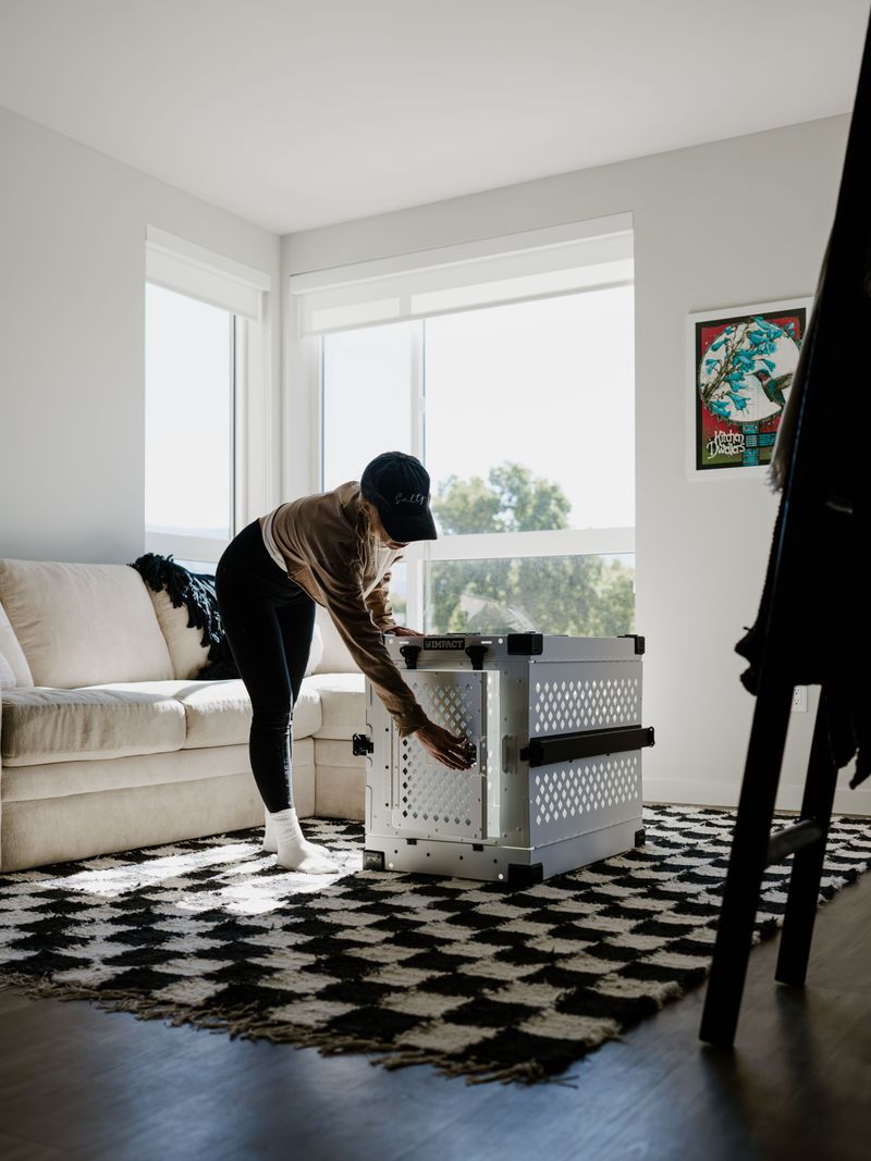 Dog Beds And Crates