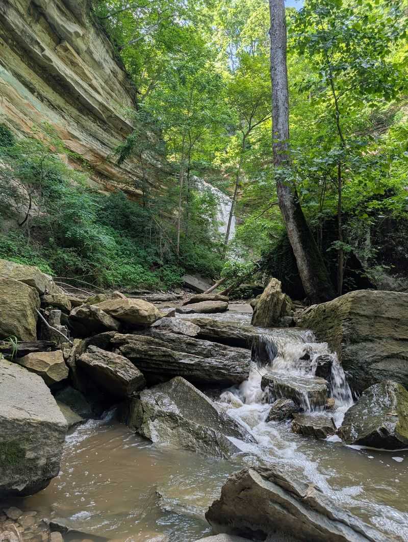 Clifty Falls State Park Trail 2, Clifty Creek Canyon