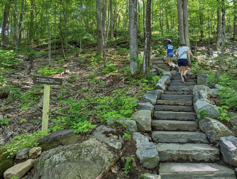 Take the Dog Up Mount Philo