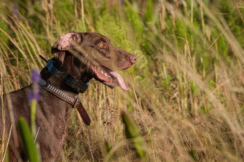 Consider a GPS Tracker for Escape Artists