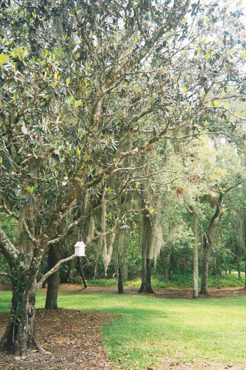 Yards Near Natural Areas Deserve Attention