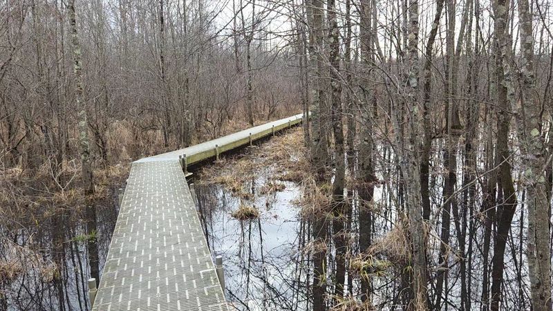 Beanblossom Bottoms Nature Preserve: Wetland Views for Miles