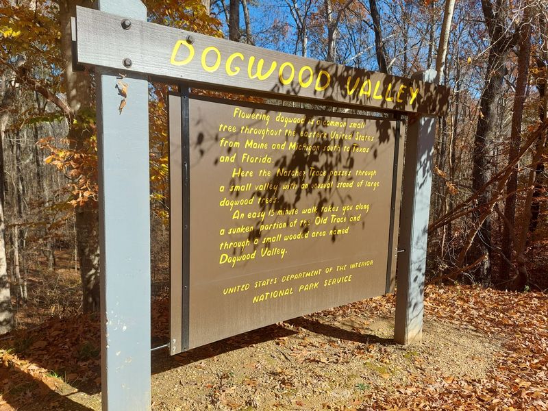 Dogwood Valley Trail