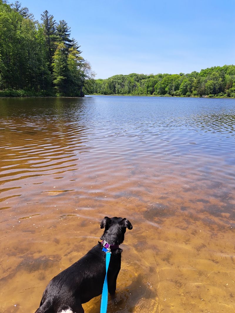 Mill Pond Recreation Area, West Newbury