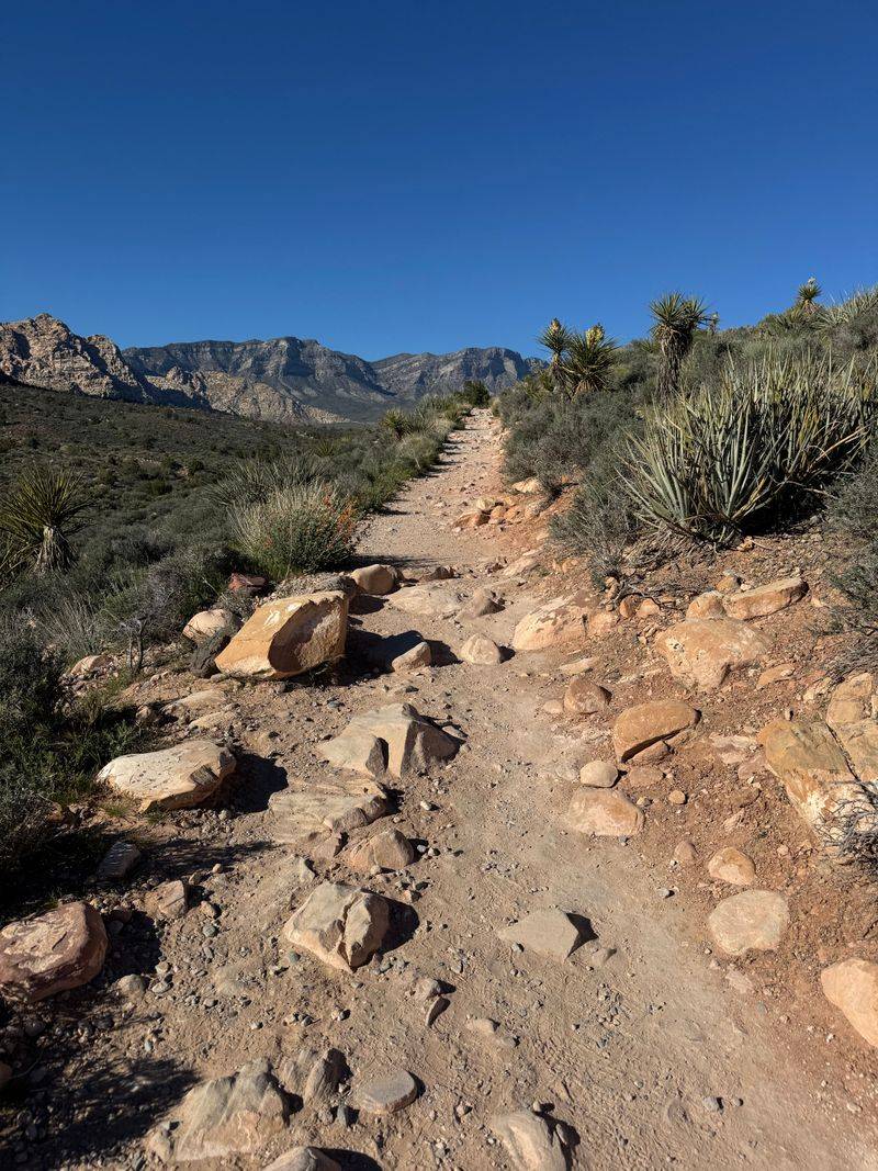 Choose Safer Trail Times and Routes