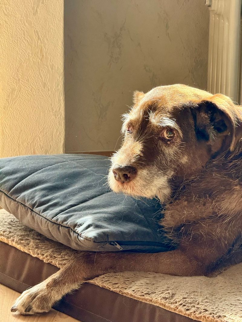 Swap Fluffy Bedding for Breathable Support