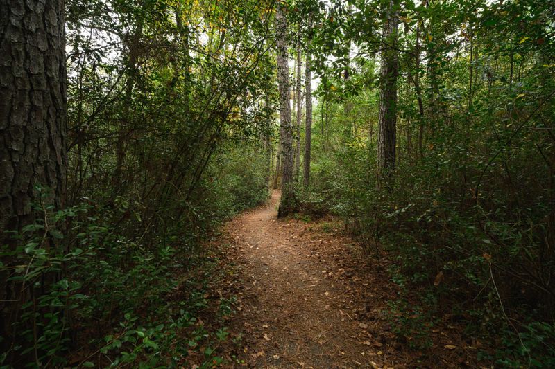 Coastal Trails Can Offer Suitable Cover