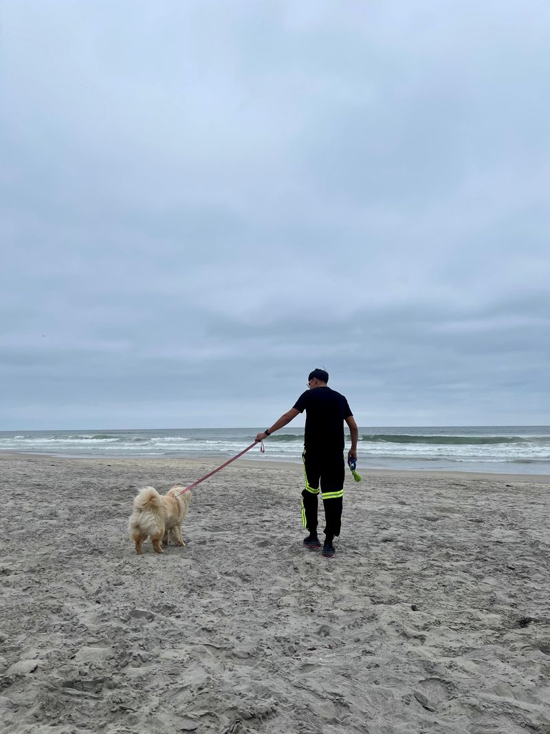 Leashes Matter Even When Beaches Feel Quiet