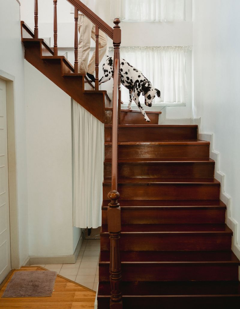 Stairs, Elevators, And Four Trips A Day