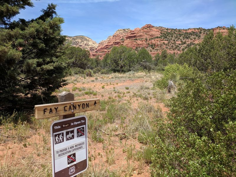 Fay Canyon Trail