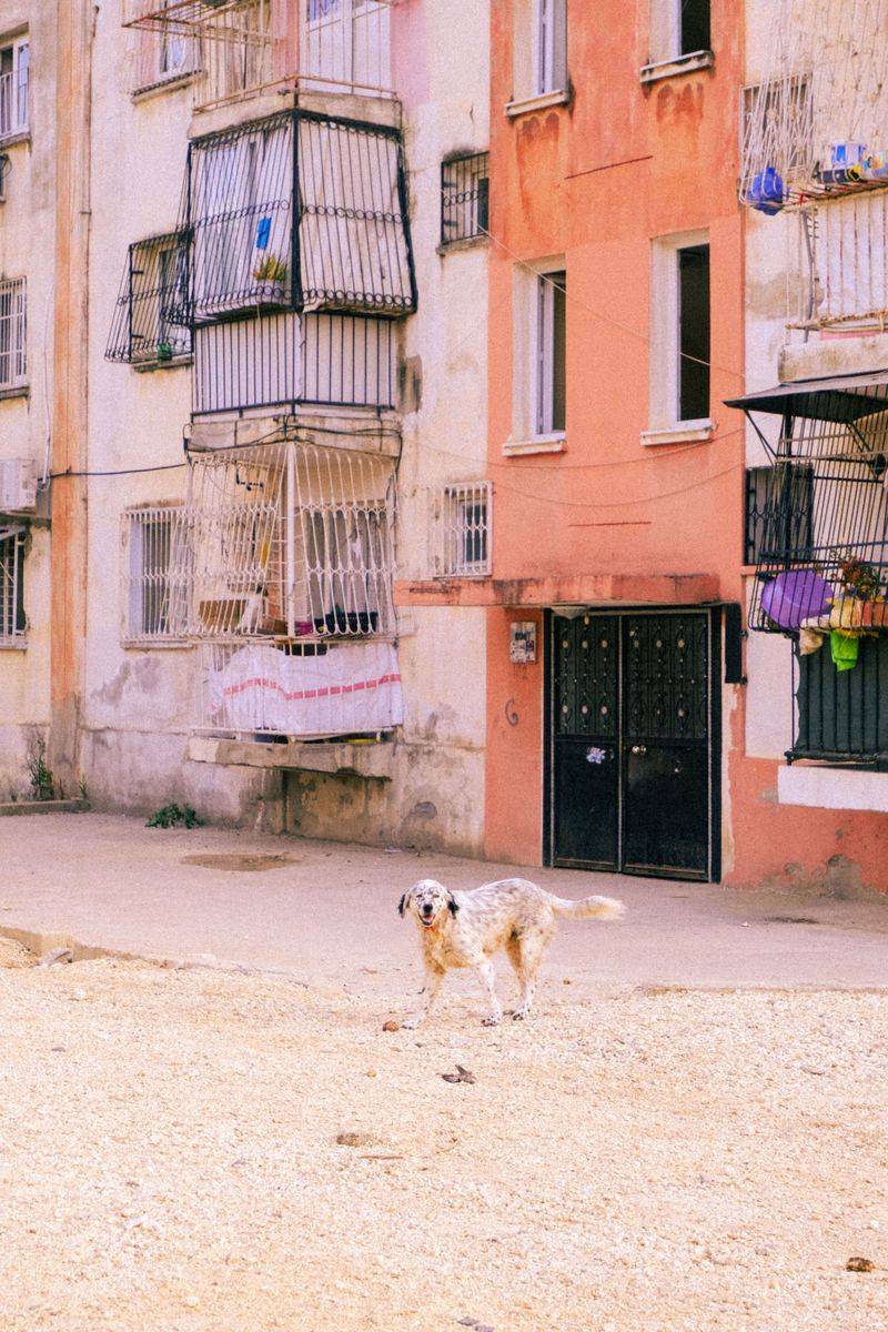 Courtyards, Lounges, and Shared Spaces
