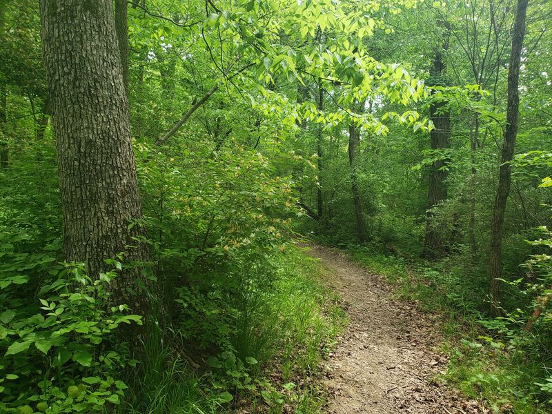 Deer Creek State Park Campground